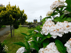 The Down Inn The Down Inn