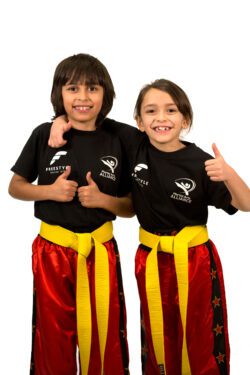 FREESTYLE MARTIAL ARTS Bridgnorth FREESTYLE MARTIAL ARTS Bridgnorth